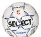 Футбольный мяч "Select Premiere" превью 970340.