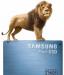 Жесткий диск Samsung SSD PM800 256GB превью 981030.