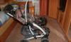 Превью Graco Quattro Санкт-Петербург - 1