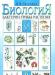 В.В.Пасечник.Биология.Бактерии.6 класс превью 1004791.