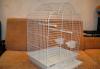 Клетка для попугая превью 1015487.