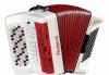 Цифровые аккордеоны и баяны Roland превью 1018186.