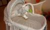 Превью Колыбель Simplicity 3023 URC в отличном состоянии Москва - 1
