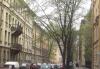 Превью 4к.кв. на 1 этаже в проходном месте под офис Санкт-Петербург - 2
