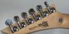 Превью Washburn X30(Custom Order)+фирменный чехол Санкт-Петербург - 2