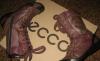 Сапоги ecco осень детские превью 1134587.