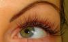 Шикарные реснички,полный объемсвао 600 руб превью 1150233.