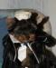 Превью Йоркширский терьер Москва - 3