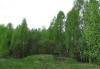 Превью Участок Средне-Выборгское шоссе 40км Санкт-Петербург - 2