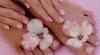 Превью Укрепление и наращивание ногтей Bio Sculpture Gel Санкт-Петербург - 3