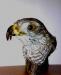 Чучело головы ястреба превью 1022626.