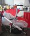 Превью Коляска baby care discovery Санкт-Петербург - 2