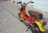 Превью Honda Chaly СF50 Ступино - 1