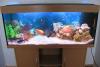 Превью Установка и обслуживание аквариумов Москва - 2