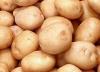 Превью Продукция с полей Краснодарского края Москва - 1