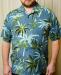 Короткий рукав, рубашка Tommy Bahama ,100 шелк превью 1231662.