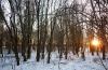 Превью Участки в коттеджном посёлке "лесное озеро" Москва - 4