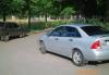Превью Ford Focus, 2001 Санкт-Петербург - 1