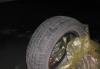 автошина летняя Continental 185/60R14 превью 1242471.