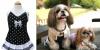Одежда для собак опт и розница превью 1243276.