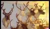 Чучело головы оленя превью 1245966.
