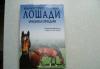 Любителям лошадей и верховой езды превью 1246718.