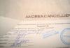 Превью Сапожки для модницы Andrea Cancellieri Челябинск - 4