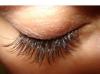 Наращивание ресницы превью 1254285.