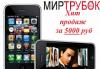 IPhone 3GS 32GB в оригинальном монолитном корпусе превью 1266930.