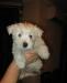 Превью Щенки-девочки вест хайленд уайт терьера Москва - 1