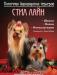 Превью Йоркширский терьер-очаровательные щенки Санкт-Петербург - 2