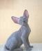 Голубой Котик превью 1032163.