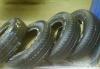 Превью Good Year Wrangler SR/A 245/70R16 Санкт-Петербург - 1