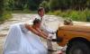Видеосъемка свадьбы. Недорого превью 1317368.