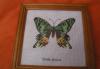 Превью Потрясающая вышивка  крестом Бабочки Москва - 4