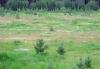 Превью Д. Юрино, Участки от 110 до 130 соток все коммун Переславль-Залесский - 1