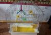 Клетка для попугая превью 1321452.