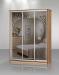 Превью Новые шкафы-купе любой размер Москва - 2