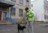 Превью Отдам небольшую собачку-компаньона Санкт-Петербург - 4