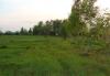 Превью Новориж ш.25 сот в деревне /пмж/лес-100м река Москва - 2