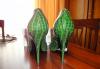 Превью Туфли Casadei 40 новые Москва - 4