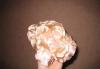 Заколка - бежевый цветок превью 1359039.