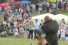 Превью Бельгийская овчарка(малинуа) Орел - 1