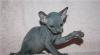 Котята канадского сфинкса превью 1379933.