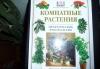 Комнатные растения превью 1382066.