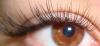 Наращивание ресниц недорого превью 1386566.
