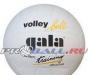 Мяч волейбольный gala Training BV5041L превью 1405709.