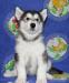Щенки Аляскинского маламута превью 1414720.