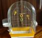 Клетка для птиц большая превью 1417605.