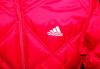 Куртка  adidas (фирм.) превью 1424003.